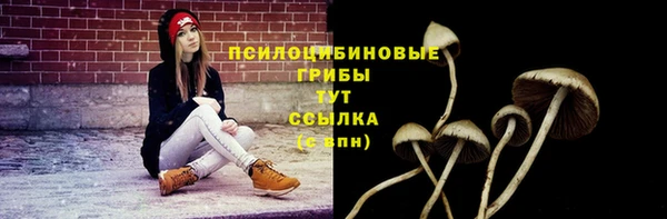 spice Абинск