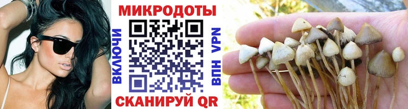 Галлюциногенные грибы мицелий цены наркотик маркетплейс формула Мегион